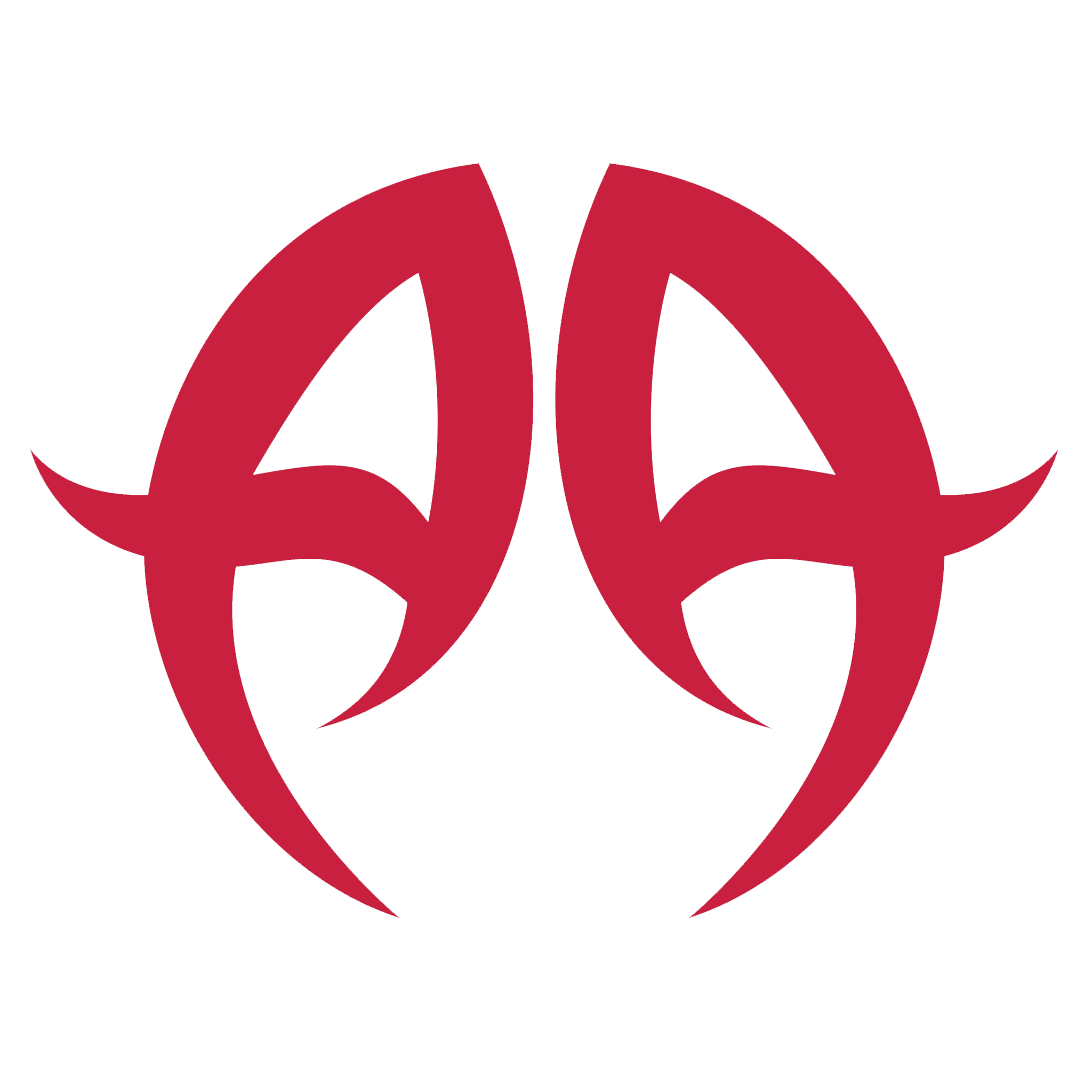 Angry Aggression AA icon